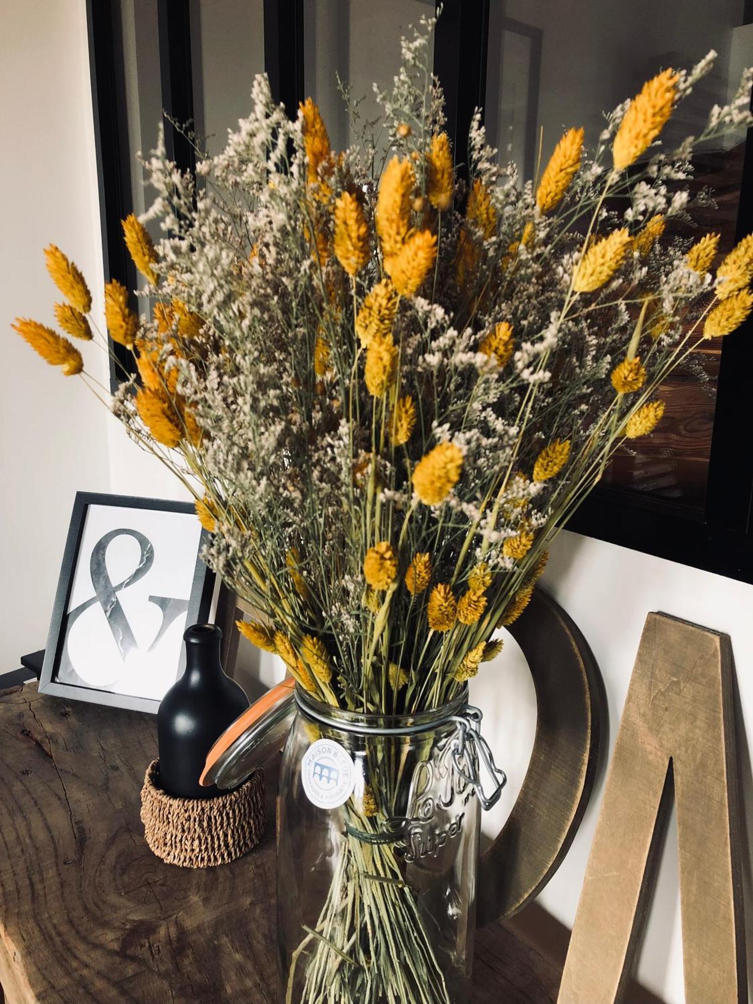 La Maison Des Vignes - Terrasse & Balcon Морле Екстериор снимка
